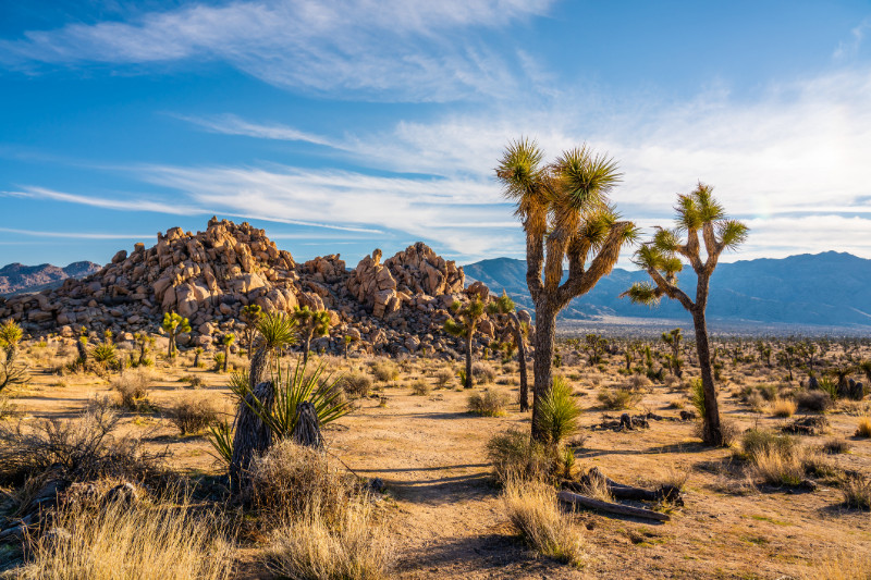 Palm Springs/ Desert Coachella Valley